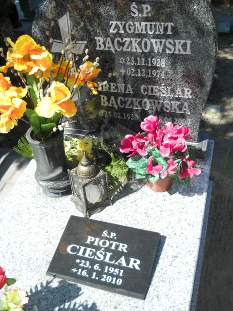 Zdjęcie grobu 8A/10291