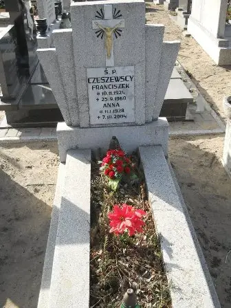 Zdjęcie grobu 5/plus 90