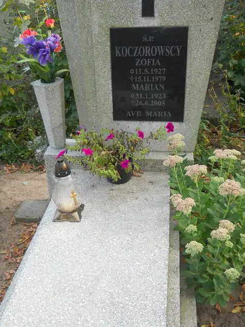 Zdjęcie grobu 15/26772