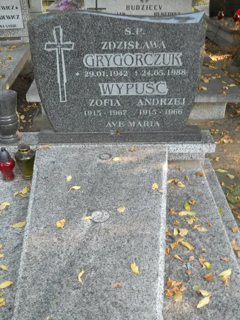 Zdjęcie grobu 15/26730