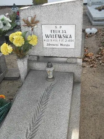 Zdjęcie grobu 8/117