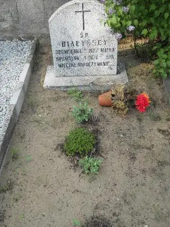 Zdjęcie grobu P/71,72