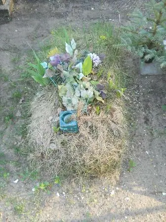 Zdjęcie grobu 7b/100