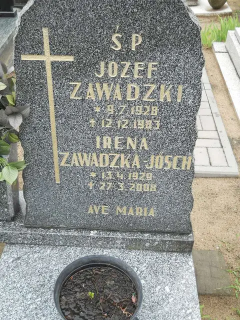 Zdjęcie grobu 24/23334