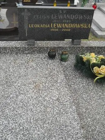 Zdjęcie grobu 44/100
