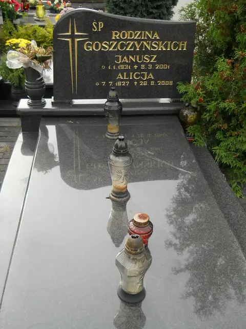 Zdjęcie grobu 9/24602