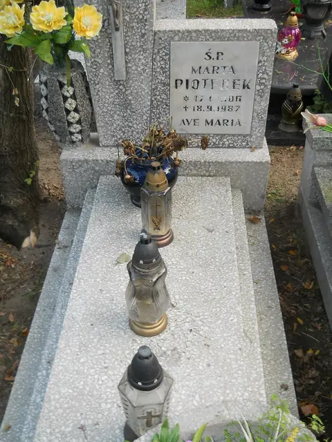 Zdjęcie grobu 14/26881