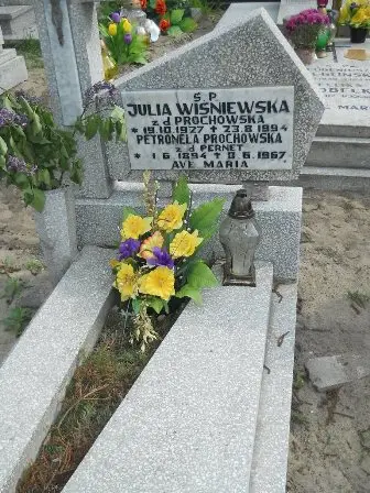 Zdjęcie grobu 22/58