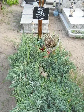 Zdjęcie grobu 37/183