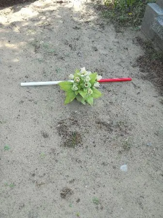 Zdjęcie grobu 28/100