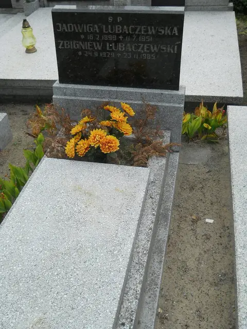 Zdjęcie grobu 9/24582