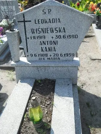 Zdjęcie grobu 20/443