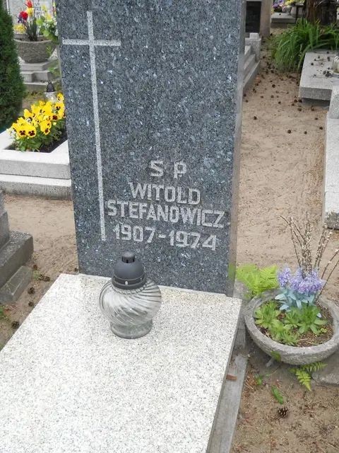 Zdjęcie grobu 7/11167