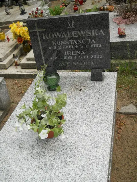 Zdjęcie grobu 12/29388