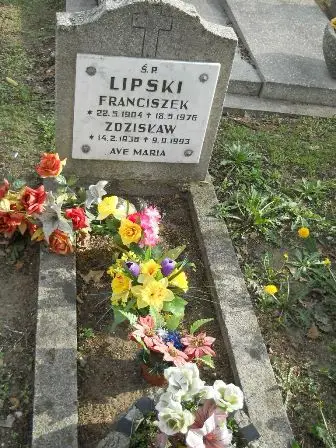 Zdjęcie grobu 9/100