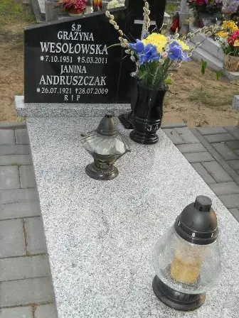 Zdjęcie grobu 37/100