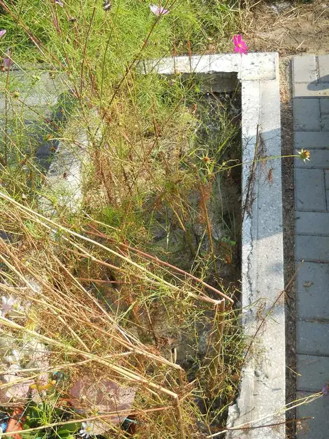 Zdjęcie grobu 14/27714