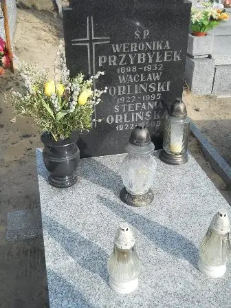 Zdjęcie grobu 100
