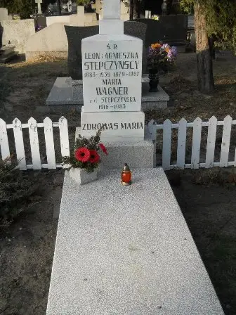 Zdjęcie grobu Krzyż./83