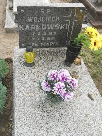 Zdjęcie grobu 22/221