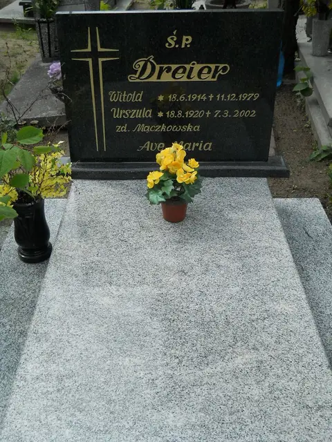 Zdjęcie grobu 7/11679
