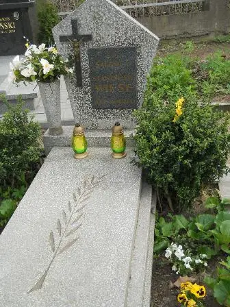 Zdjęcie grobu 9/56,56a