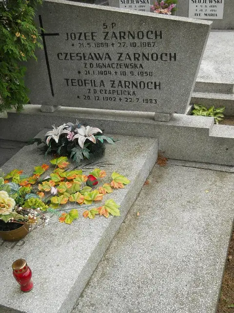 Zdjęcie grobu 9/24590