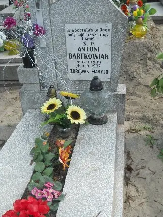 Zdjęcie grobu 22/57