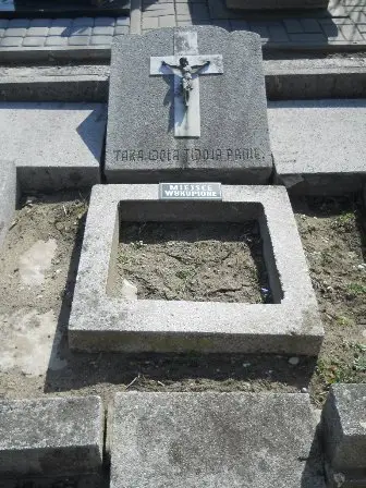Zdjęcie grobu 3/100
