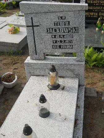 Zdjęcie grobu 38/279