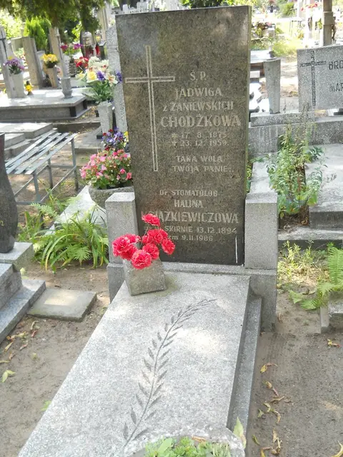 Zdjęcie grobu 19/28514