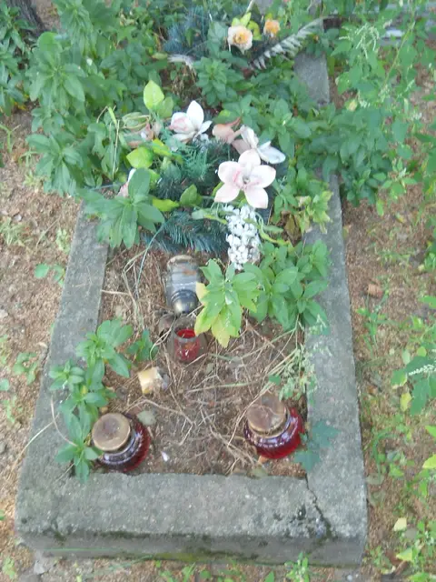 Zdjęcie grobu 17/28040
