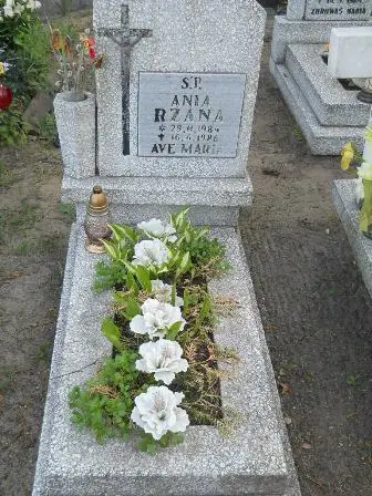Zdjęcie grobu 7b/100