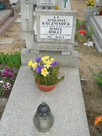 Zdjęcie grobu 33/409
