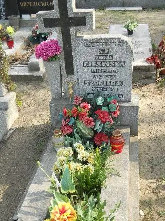 Zdjęcie grobu 9a/129