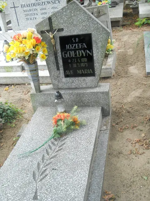 Zdjęcie grobu 13/29693