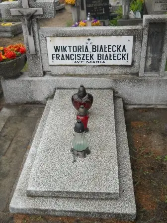 Zdjęcie grobu F/238,239