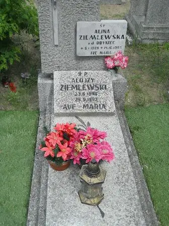 Zdjęcie grobu F/79