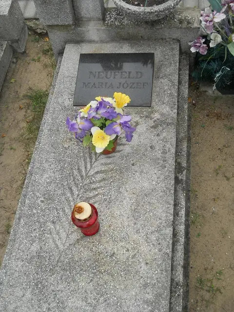 Zdjęcie grobu 9/24535