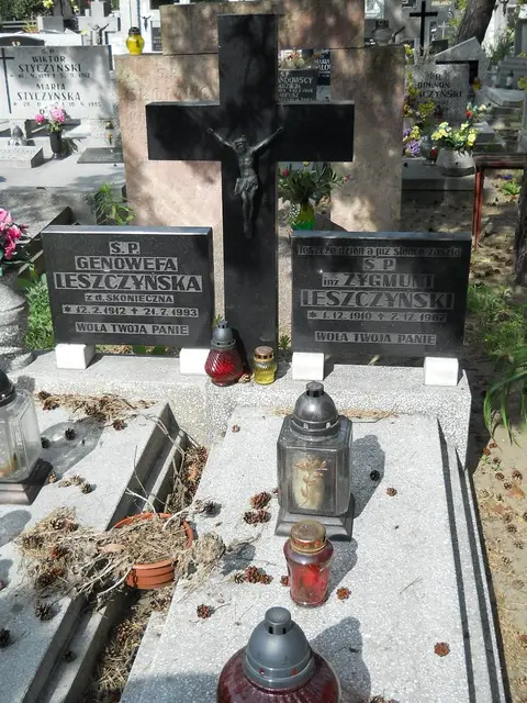 Zdjęcie grobu 7/11267