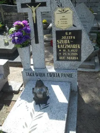 Zdjęcie grobu 25/81