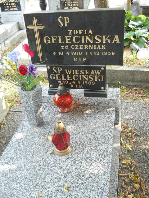 Zdjęcie grobu 15/26614