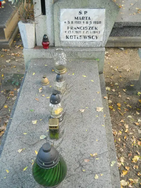 Zdjęcie grobu 14/26928