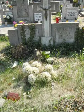 Zdjęcie grobu 29/98,99
