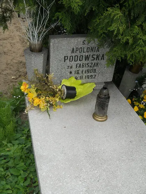 Zdjęcie grobu 7/10880