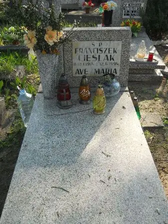 Zdjęcie grobu 7a/146a
