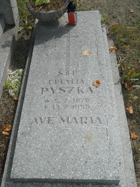 Zdjęcie grobu 16/26375