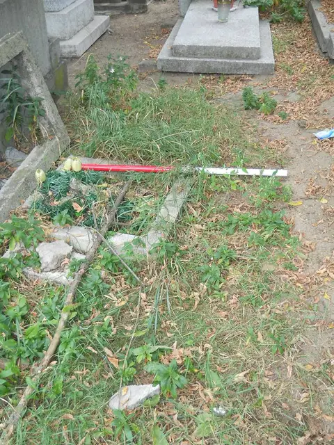 Zdjęcie grobu 12/29357