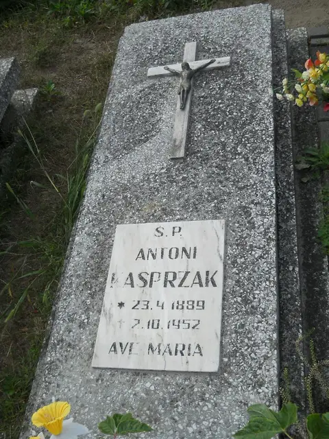 Zdjęcie grobu 11/29207