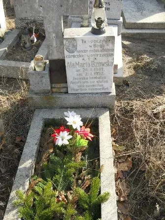 Zdjęcie grobu 6/683
